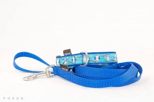 10530745_713530702017882_8015409894705668081_n