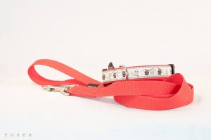 10565209_713530745351211_5085932481070562861_n