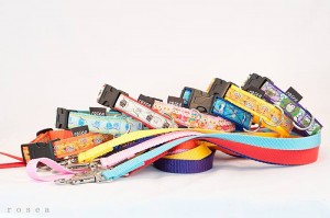 1610748_713530758684543_5782506890917695679_n