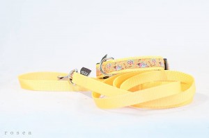 1910487_713530722017880_414029199448521417_n